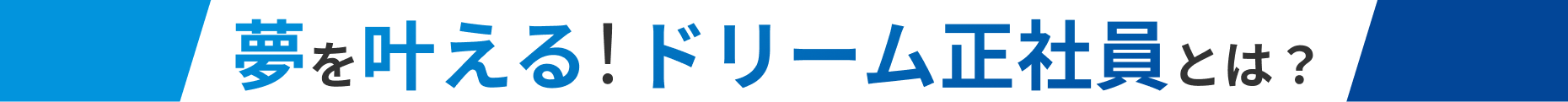 夢を叶える！ドリーム正社員サポートシステム